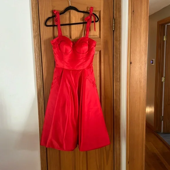 open lace back dress 50s Vintage Red Gingham Full-Circle Patio Dress main image 0